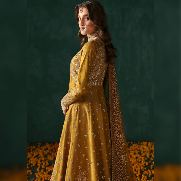 AFROZEH - DIVANI JAHANBANO - Image 4