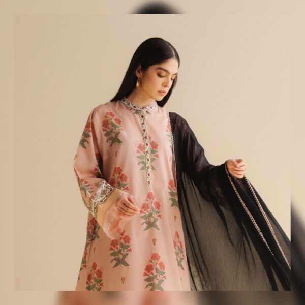 Coco Raya-2A - Image 4