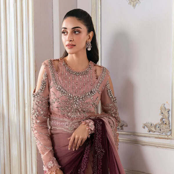Unstitched Embroidered Chiffon Saree - Image 6
